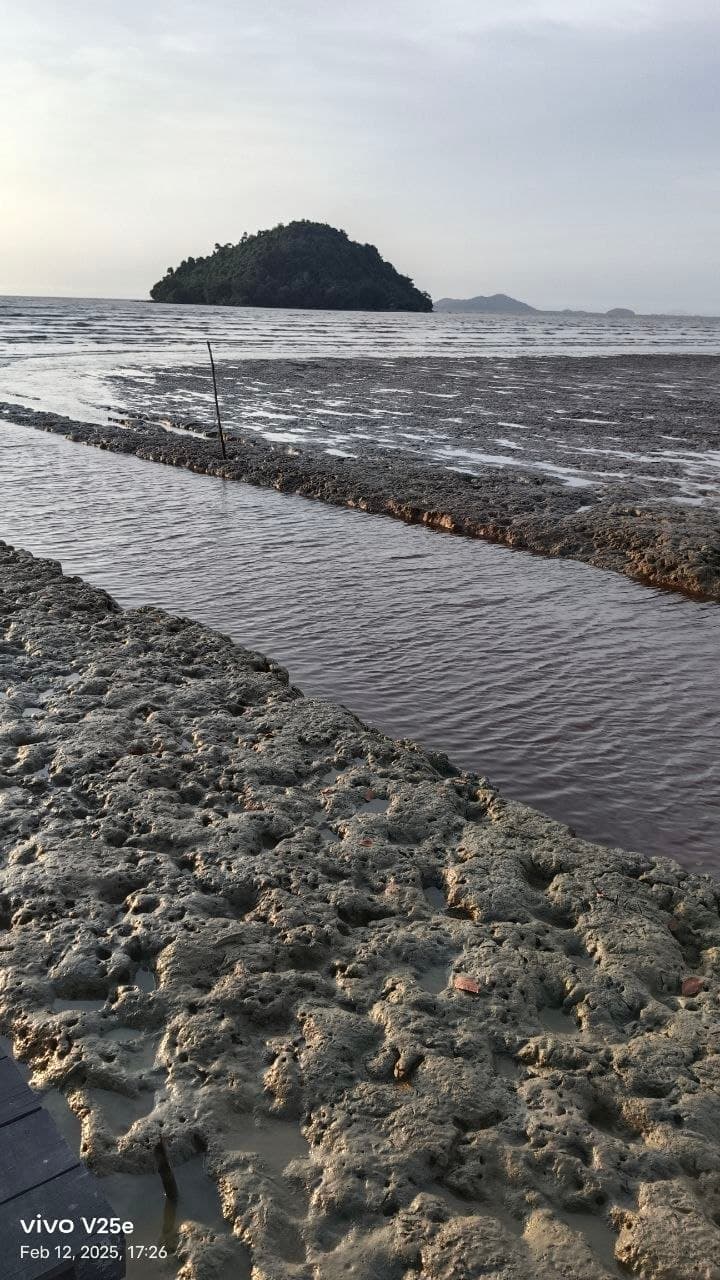 Pulau Penibong, Surga Kecil Tak Berpenghuni di Mempawah yang Cocok untuk Healing dan Camping